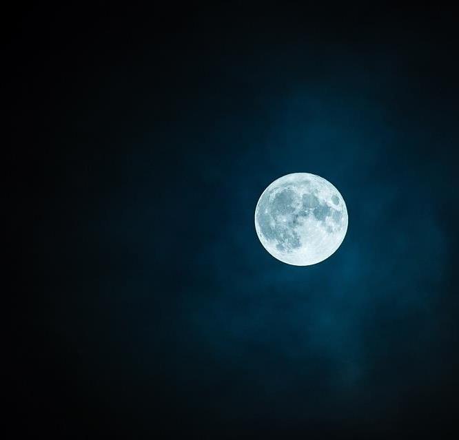 Foto per Nella natura, sotto la luna piena – Escursioni notturne nel Parco nazionale