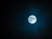 Foto per Nella natura, sotto la luna piena – Escursioni notturne nel Parco nazionale